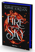 A Fire in the Sky: A Novel cover image